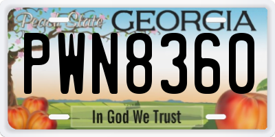 GA license plate PWN8360