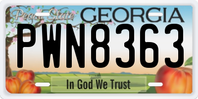GA license plate PWN8363