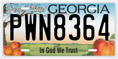 GA license plate PWN8364