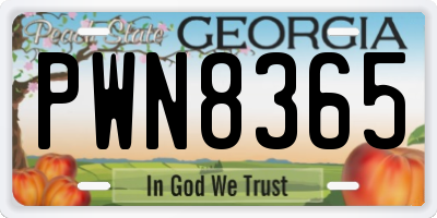 GA license plate PWN8365