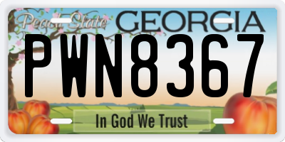 GA license plate PWN8367
