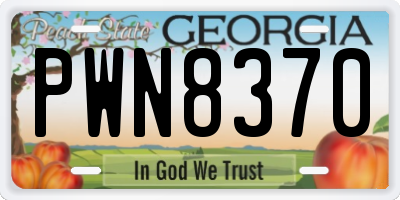 GA license plate PWN8370