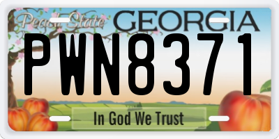 GA license plate PWN8371