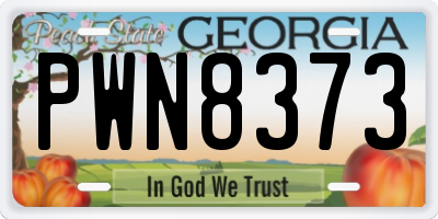 GA license plate PWN8373