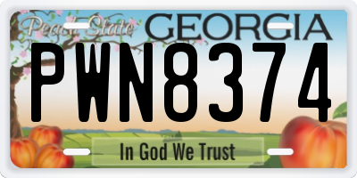 GA license plate PWN8374