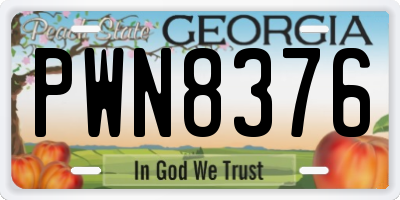 GA license plate PWN8376