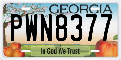 GA license plate PWN8377