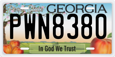 GA license plate PWN8380