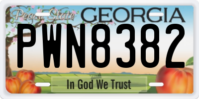 GA license plate PWN8382