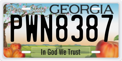 GA license plate PWN8387