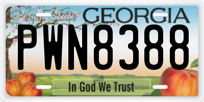 GA license plate PWN8388