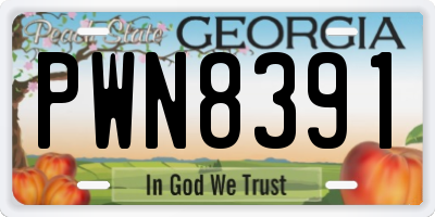 GA license plate PWN8391