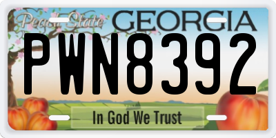 GA license plate PWN8392