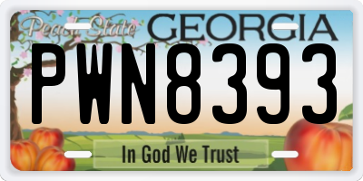 GA license plate PWN8393