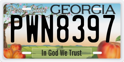GA license plate PWN8397