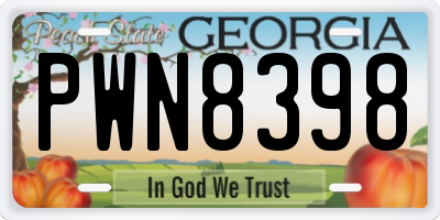 GA license plate PWN8398
