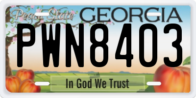 GA license plate PWN8403