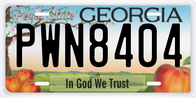 GA license plate PWN8404