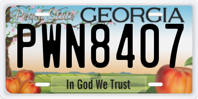 GA license plate PWN8407