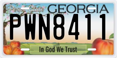 GA license plate PWN8411