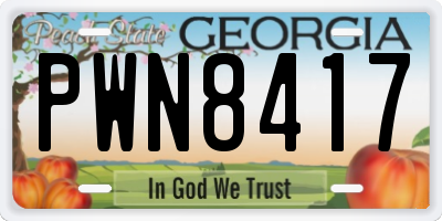 GA license plate PWN8417