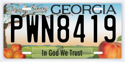 GA license plate PWN8419