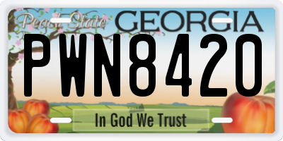 GA license plate PWN8420