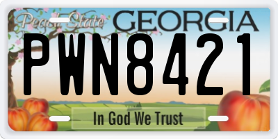 GA license plate PWN8421