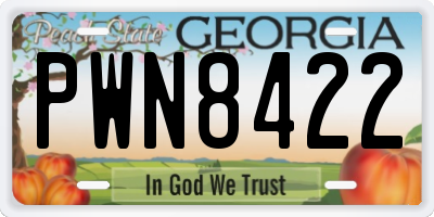 GA license plate PWN8422