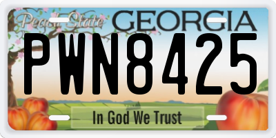 GA license plate PWN8425