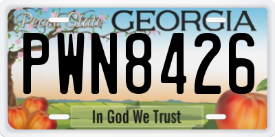 GA license plate PWN8426