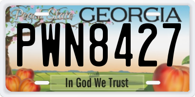 GA license plate PWN8427