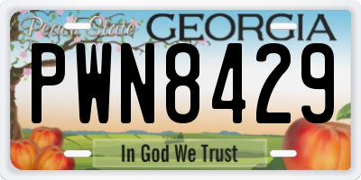 GA license plate PWN8429
