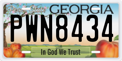 GA license plate PWN8434