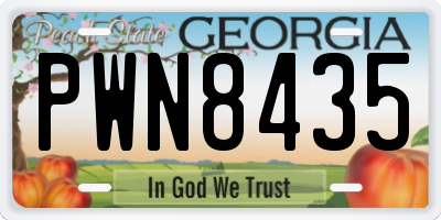 GA license plate PWN8435