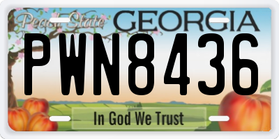 GA license plate PWN8436