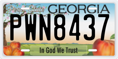 GA license plate PWN8437