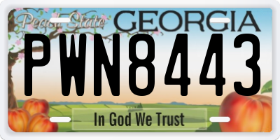 GA license plate PWN8443