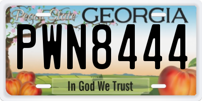 GA license plate PWN8444