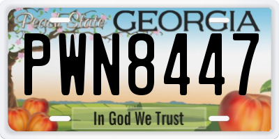 GA license plate PWN8447