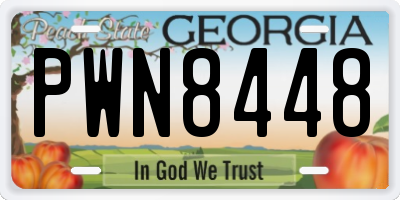 GA license plate PWN8448