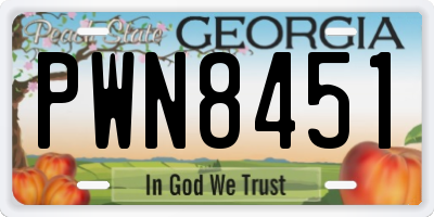 GA license plate PWN8451