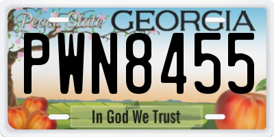 GA license plate PWN8455