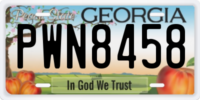 GA license plate PWN8458