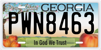GA license plate PWN8463