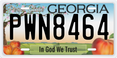 GA license plate PWN8464