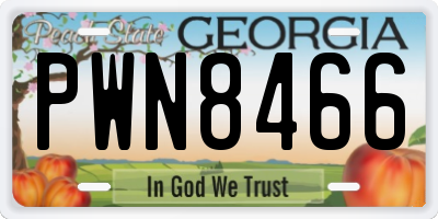 GA license plate PWN8466