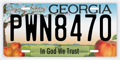 GA license plate PWN8470