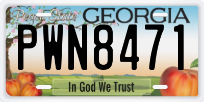 GA license plate PWN8471