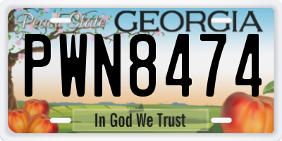 GA license plate PWN8474